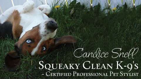 Squeaky Clean K-9's ~ Certified Dog Groomer